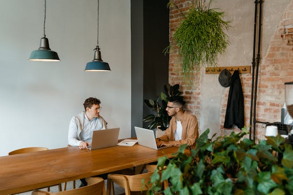 Volunteer or Freelance